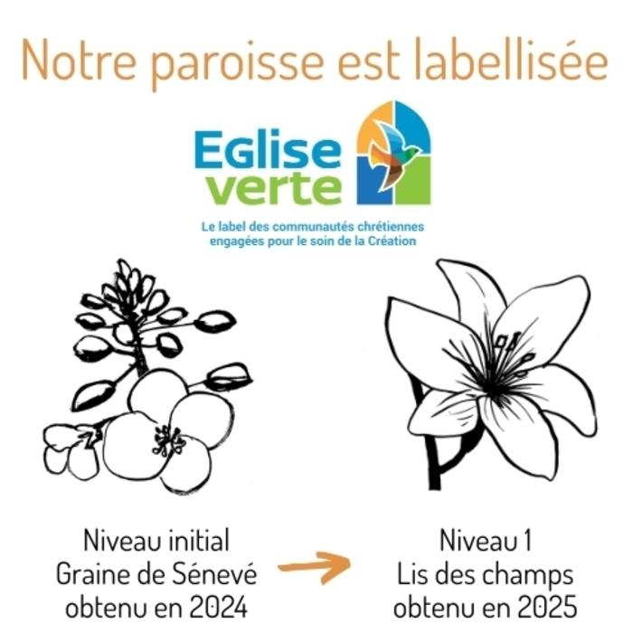 Bonne nouvelle : la paroisse grandit ! Et son niveau a changé... Bonne nouvelle : la paroisse grandit ! Et son niveau a changé...