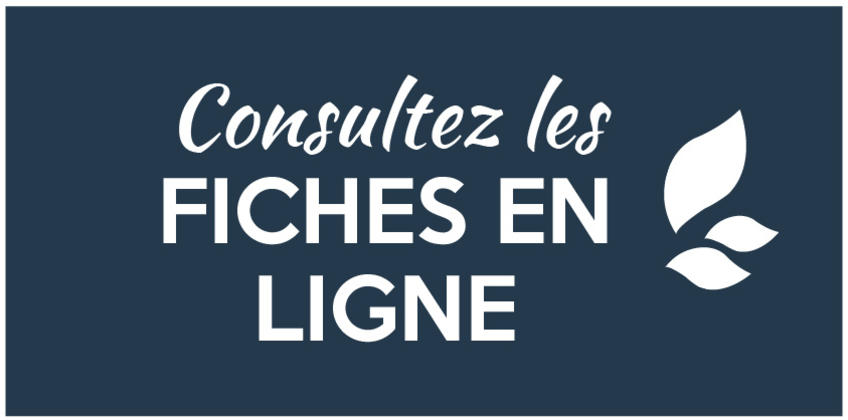 /publications-fraternites-locales-evangile.html /publications-fraternites-locales-evangile.html