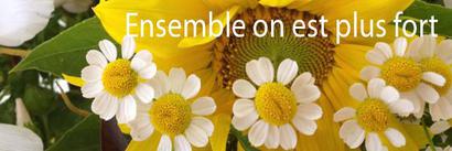 Association d'Entraide et d'Equipement de la paroisse (AEEP) Association d'Entraide et d'Equipement de la paroisse (AEEP)