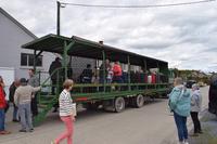 Le "char à banc" : moyen de locomotion Le "char à banc" : moyen de locomotion