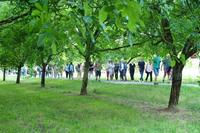 Le retour vers l'église Le retour vers l'église