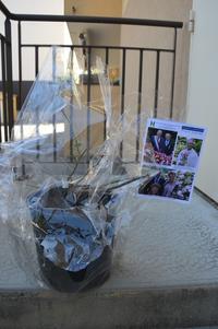 Rosier offert à chaque participant Rosier offert à chaque participant