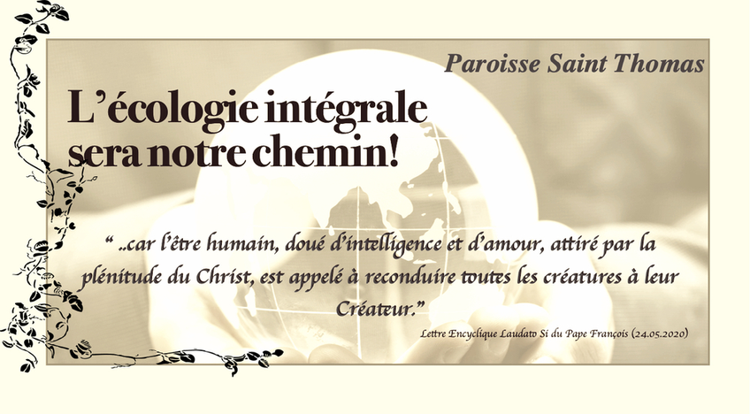 https://www.diocese-grenoble-vienne.fr/index.php?nocache=1&alias=stthomas-eglise-verte